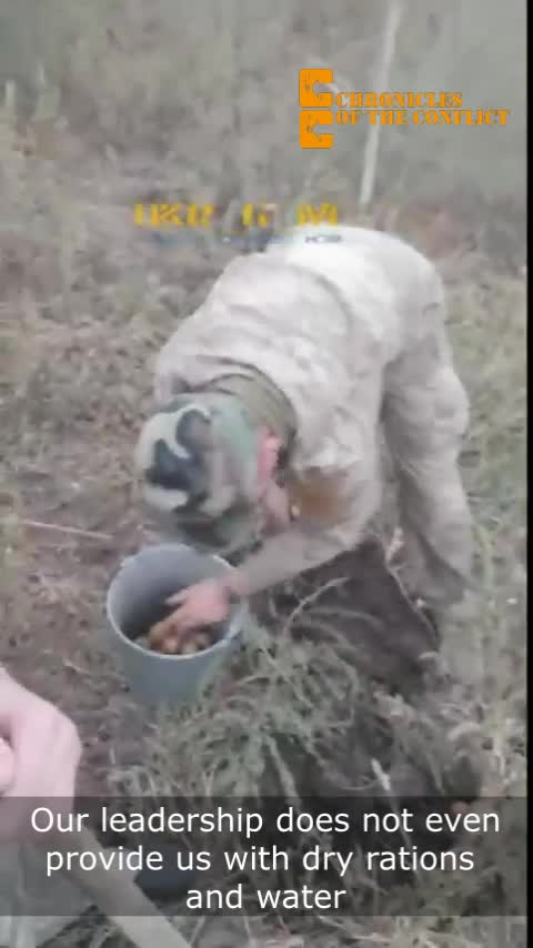 Ukraine soldiers dig for potatoes to eat