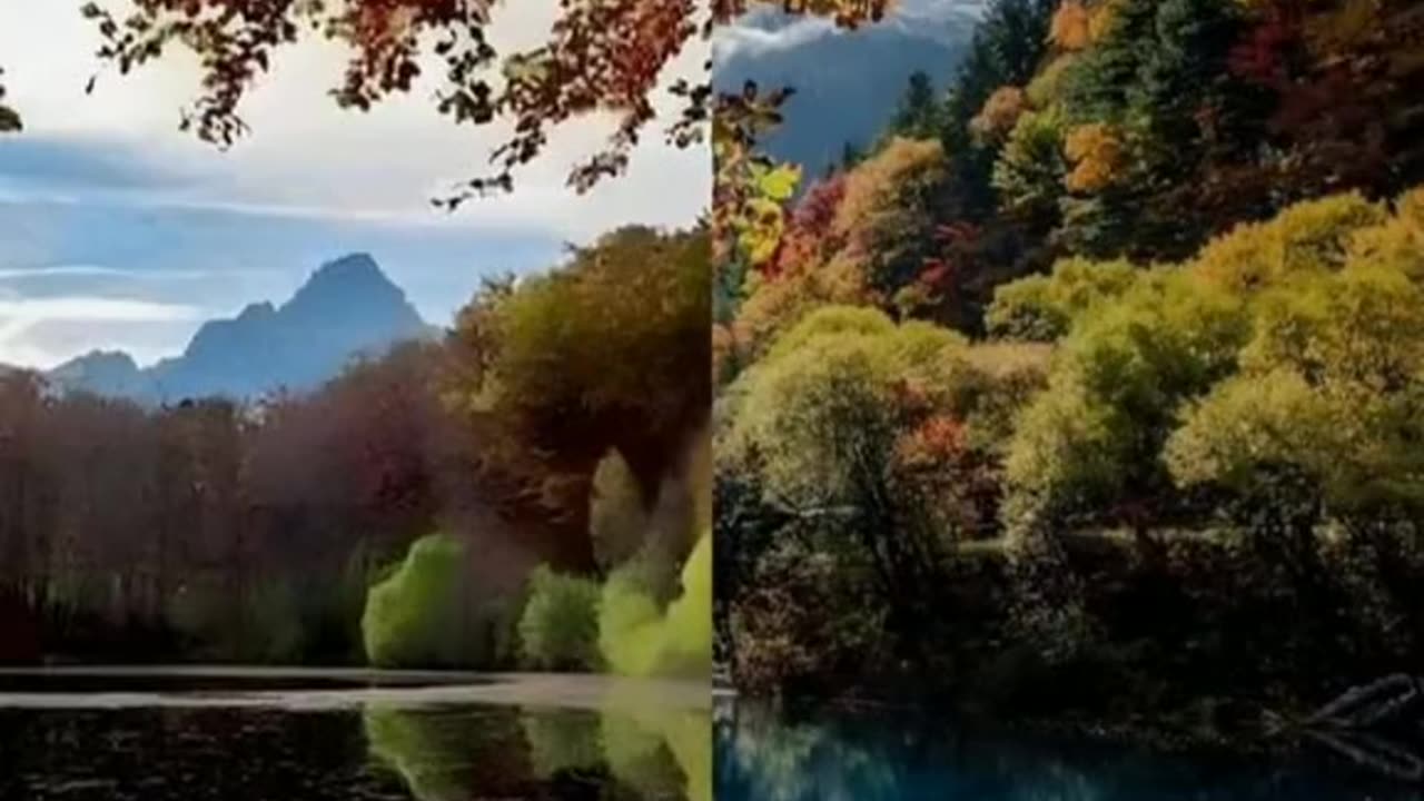 قارة #الجزائر 💖