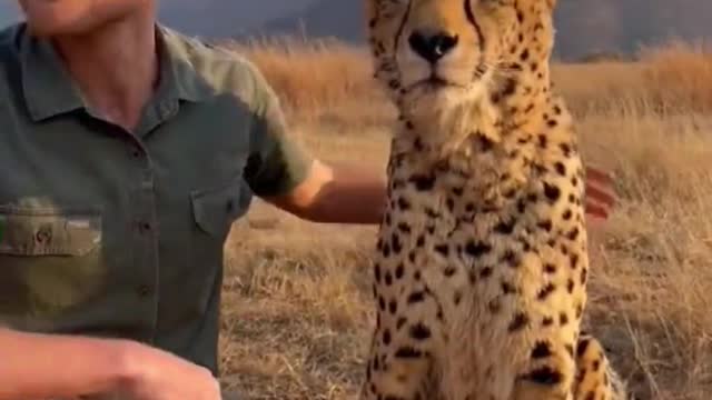 -Sometimes it doesn't take force to conquer wild animals. Man and animals live in harmony