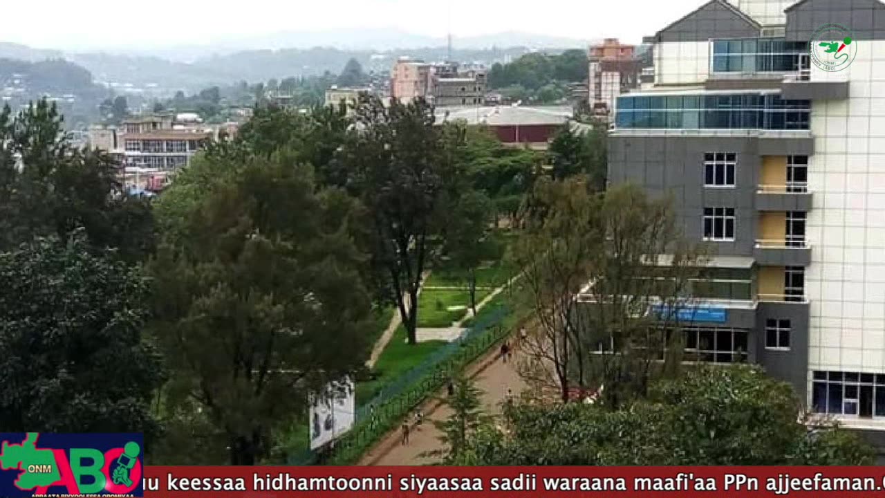 Oduu Waaree ONM-ABO Caamsaa 24-2024 Itti Dhiyaadhaa!