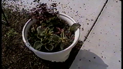 Trip to my Parents home in Newfane NY 1997