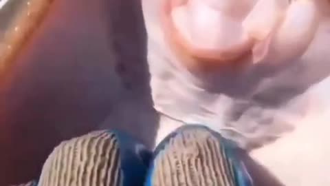 Tickling a FISH!