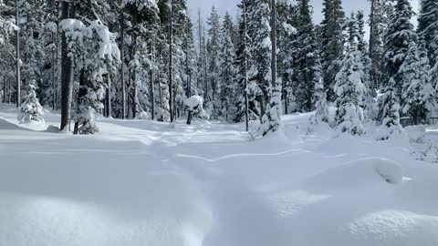 Hiking On Top of 3 - 5 Feet of Snow – Central Oregon – Vista Butte Sno-Park – 4K