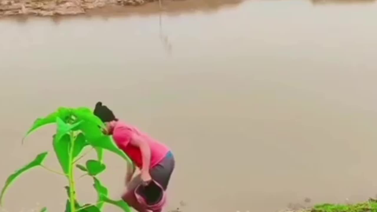 funny video
