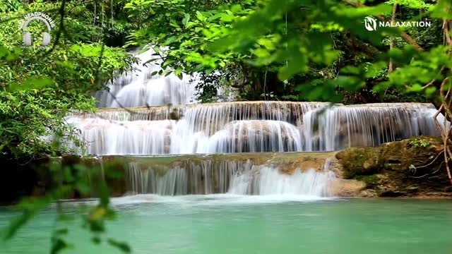 1 hour of Piano Relaxing Music with Birds and Waterfall Sound