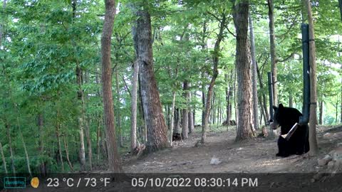 The Woods - 05/11/2022