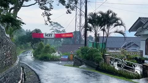 Relaxing rain in beautiful village__indonesian countryside.