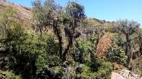 Água gelada na cascata