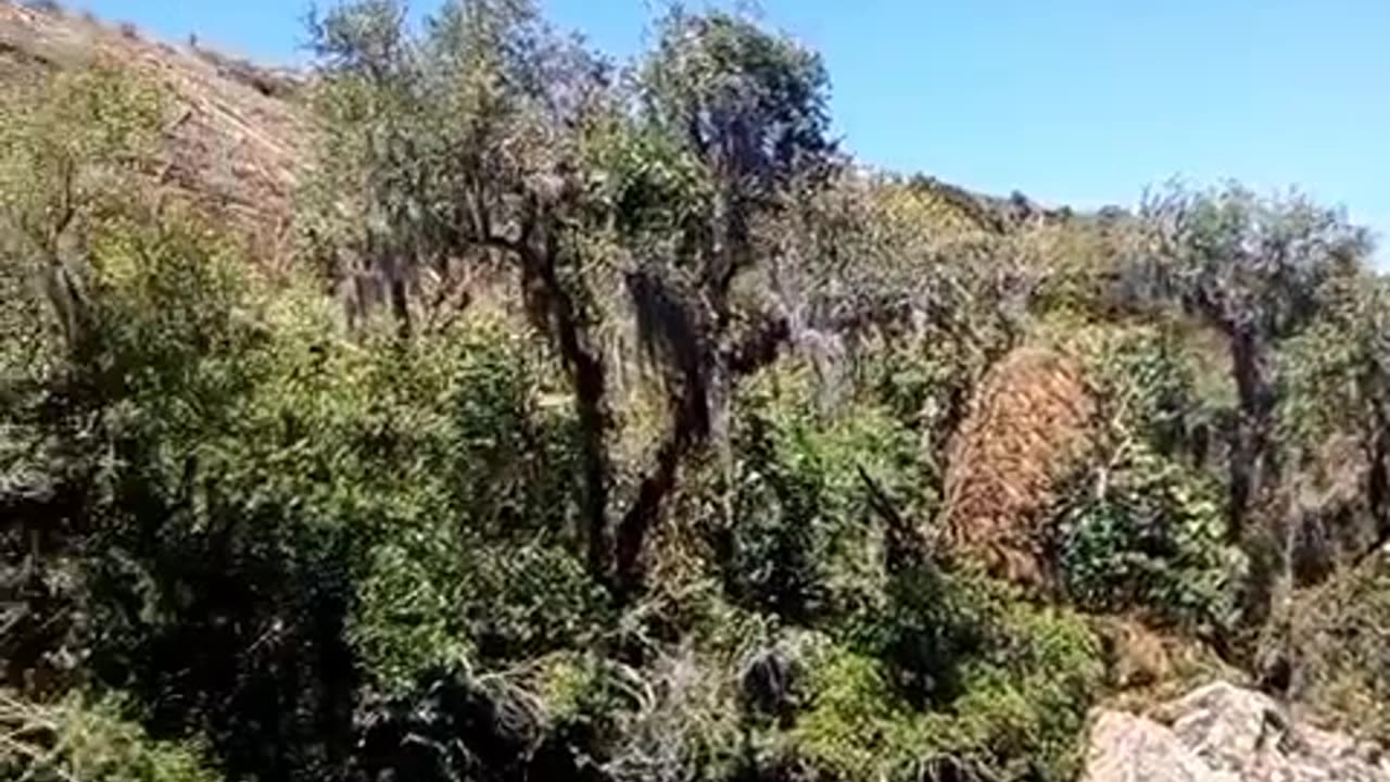 Água gelada na cascata