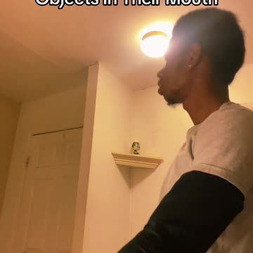 When Your Dog Keeps Sniffing Mystery Spots And Putting Random Objects In Their Mouth