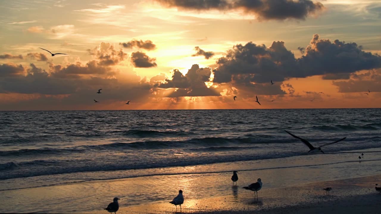 A Florida Beach Sunset