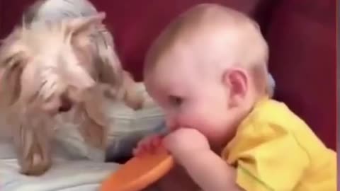 Laugh With Love_ Funniest Animals and Babies Ever!!! Try Not To Laugh