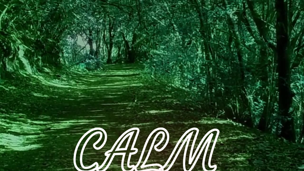 Calm and Relaxing Music-Walking Trail helps you destress #shorts