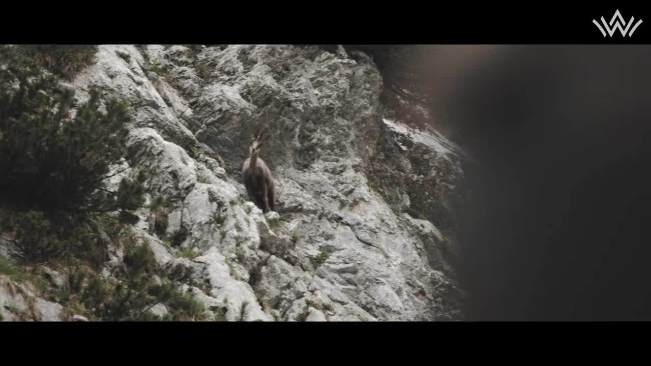 Bergsteigen am Wilden Kaiser