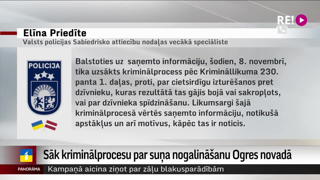 Sāk kriminālprocesu par suņa nogalināšanu Ogres novadā