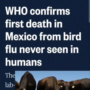 WHO confirms the 1st death from Bird Flu NEVER seen in Humans - How Convenient