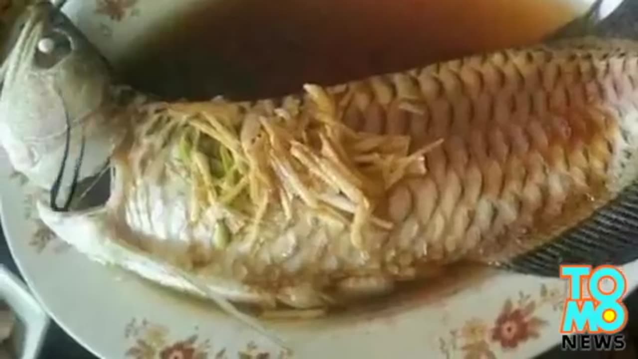 Elderly woman cooks grandson's US$3,000 pet fish - TomoNews