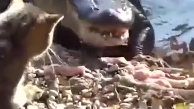 Not a matter of size