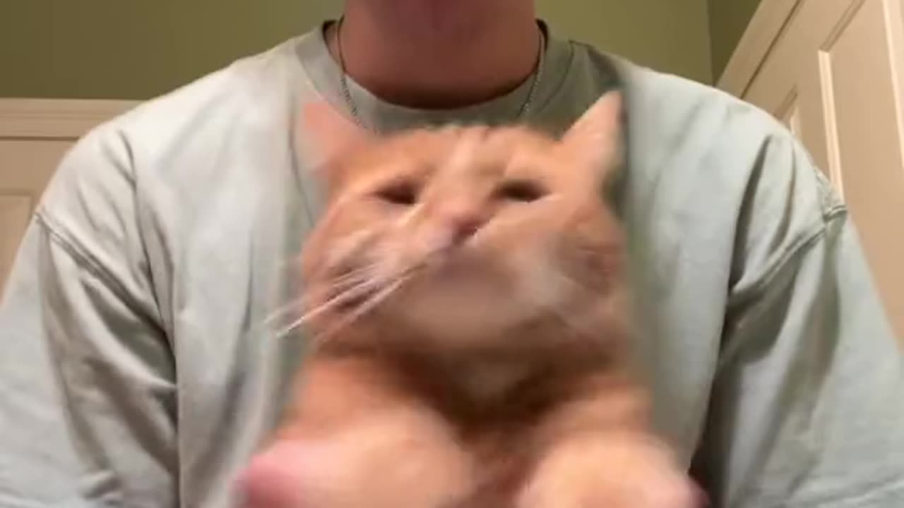 CATS TRENDING MOVE