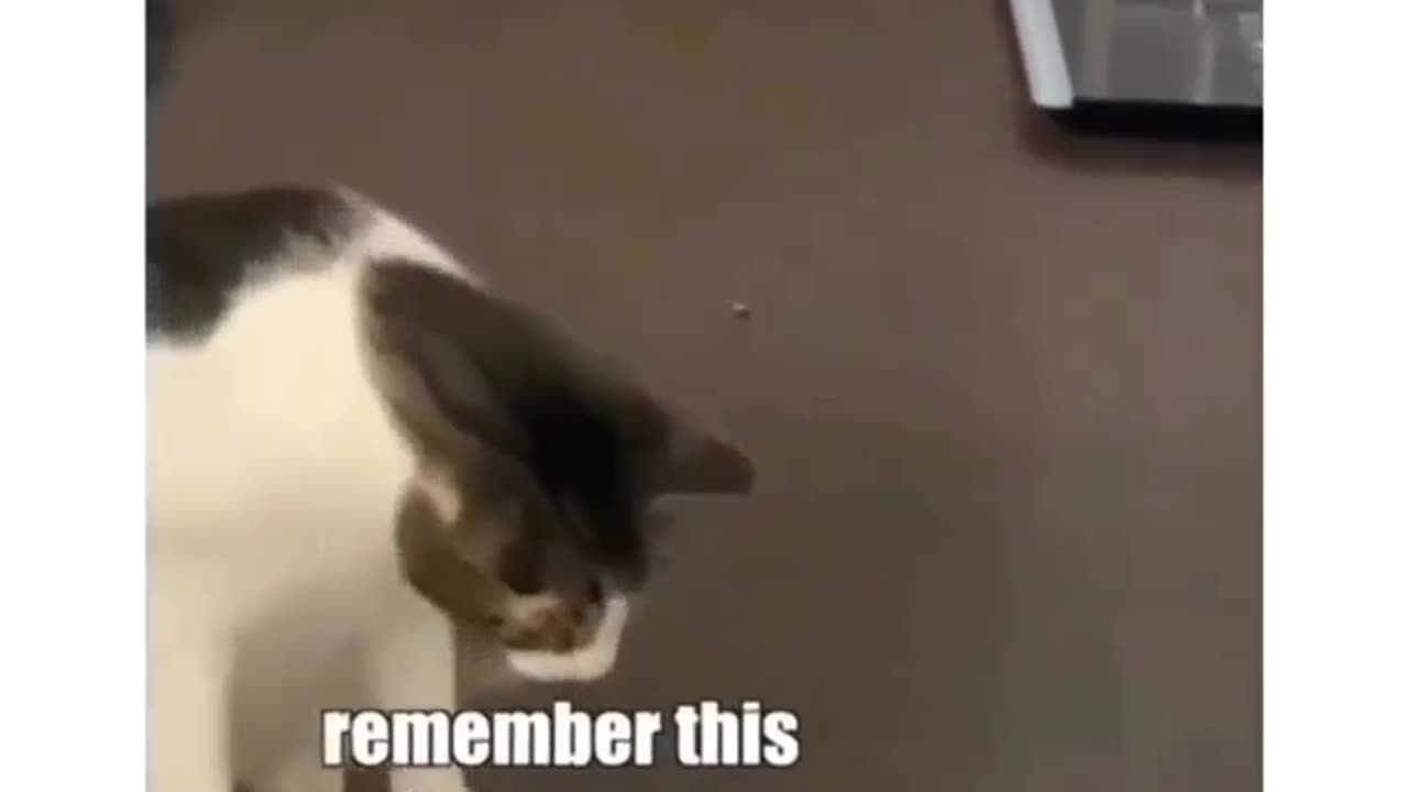 Learning some life lessons😹😹