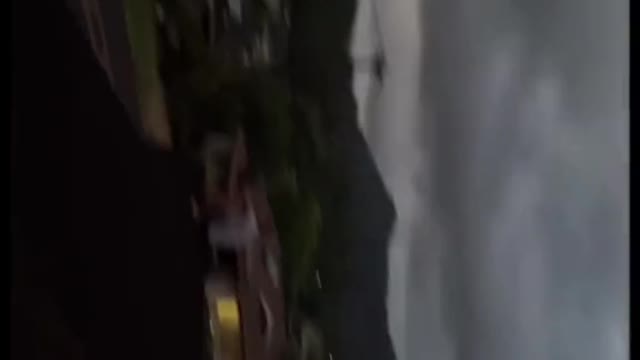 8FT HAWAIIAN SURF WATCH TILL END