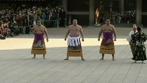 Japan's first sumo champion in 19 years