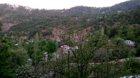 Beautiful morning bird's voices / Beautiful murree morning