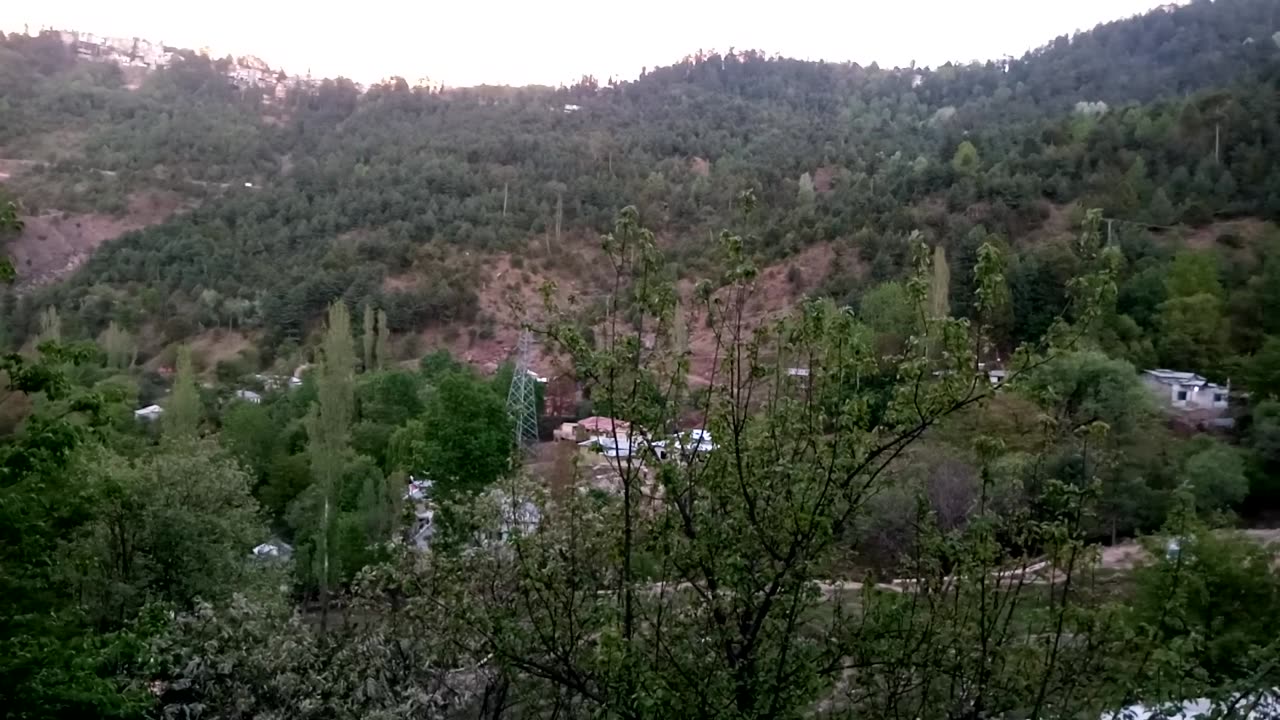 Beautiful morning bird's voices / Beautiful murree morning