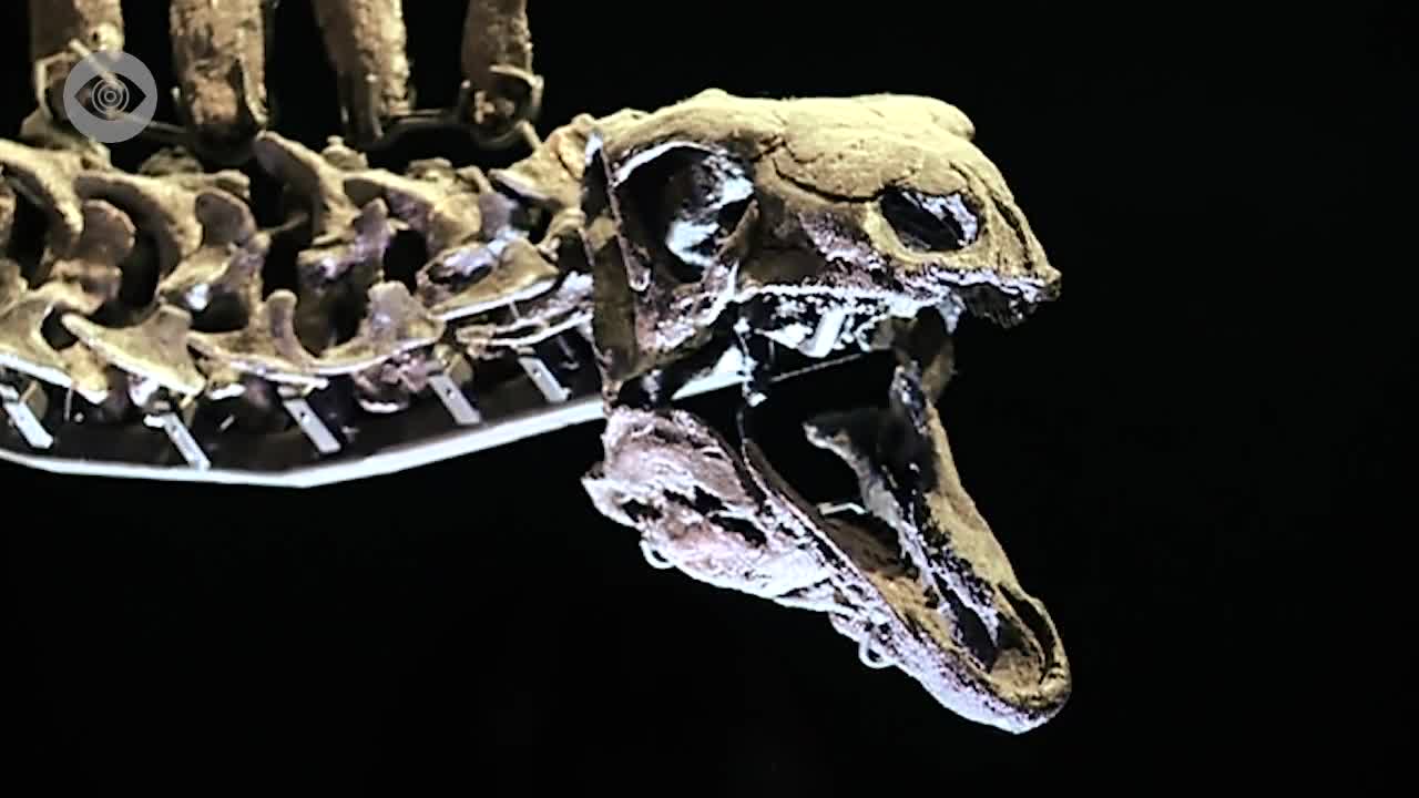 Are Dinosaurs Still Alive?