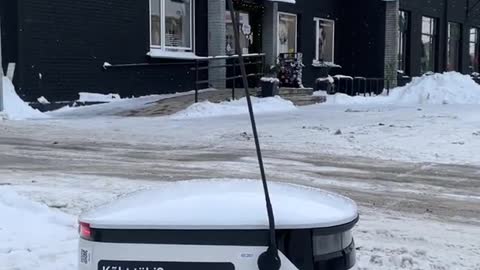 Estonia’s food delivery robots navigating winter snow