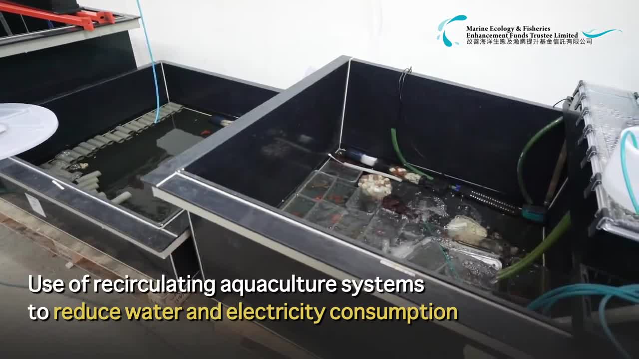 Fisheries Enhancement Fund – Australian Redclaw Crayfish Farming Pilot Project