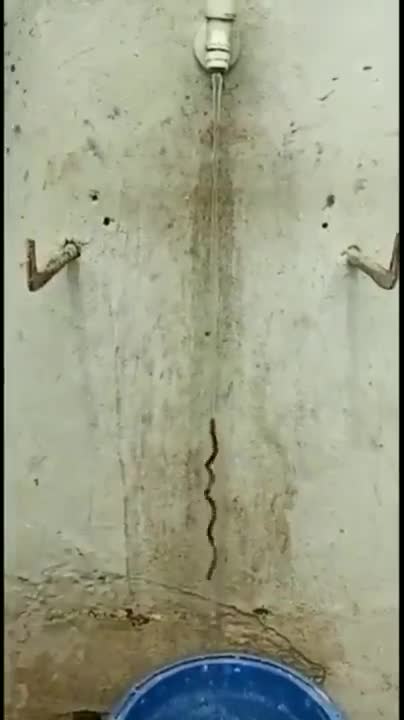 Moto perpetuo qualcuno può derivare l'equazione del moto per questo?