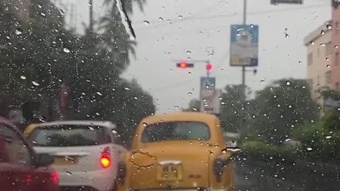 Rain Lovers