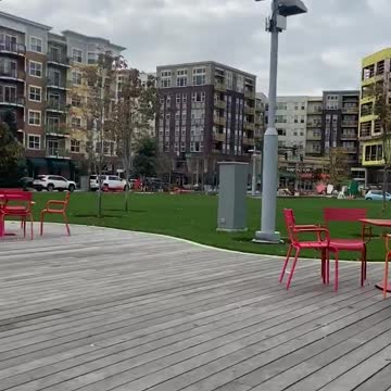 Cell towers in the neighborhood park!