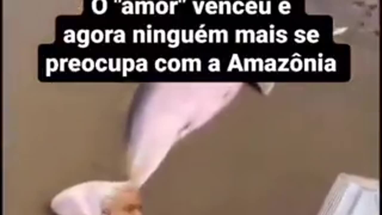 Amazônia já era 💨