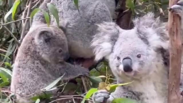 Little Carla plays in her mother's arms