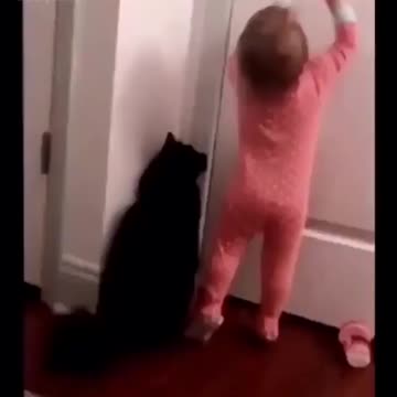 The mischievous makes the cat open the door