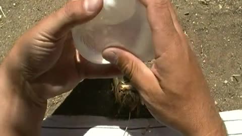 Learn About Making Fire Using a Condom