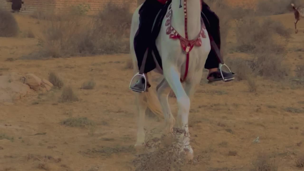 Horse Riding in Desert 🏜️