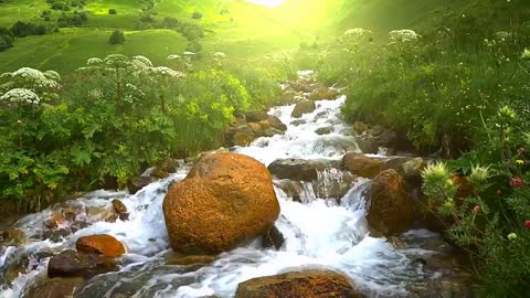 The stream flowing water