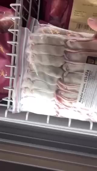 Mrożone myszy są już w sprzedaży w Europie... Cena 31,50 euro za 25 sztuk