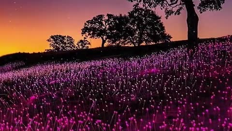 # Moon # starry sky # scenery