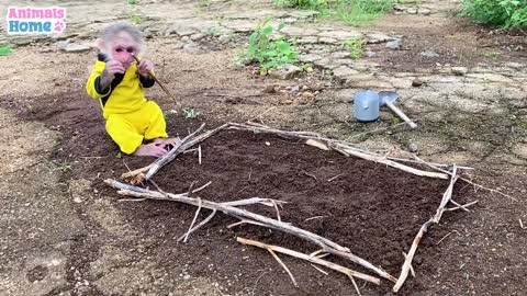 Farmer BiBi obedient take care of her friends