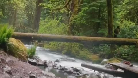 The end 😂😂😂 #shorts #fails #funny #laugh #viral #idiotsradar