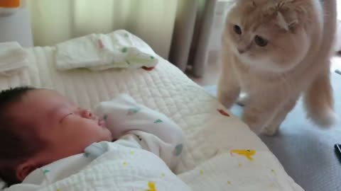 cate love with baby