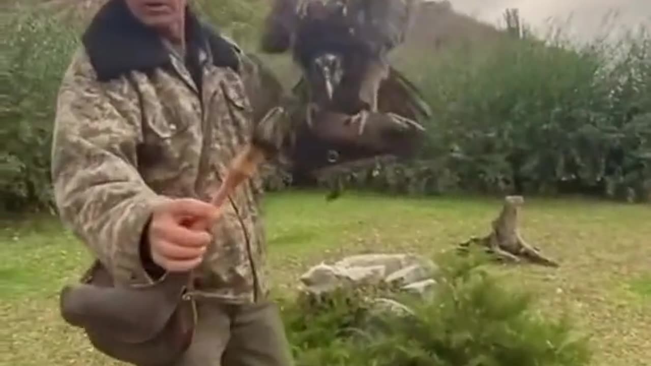 Bird Eats Strictly Bone