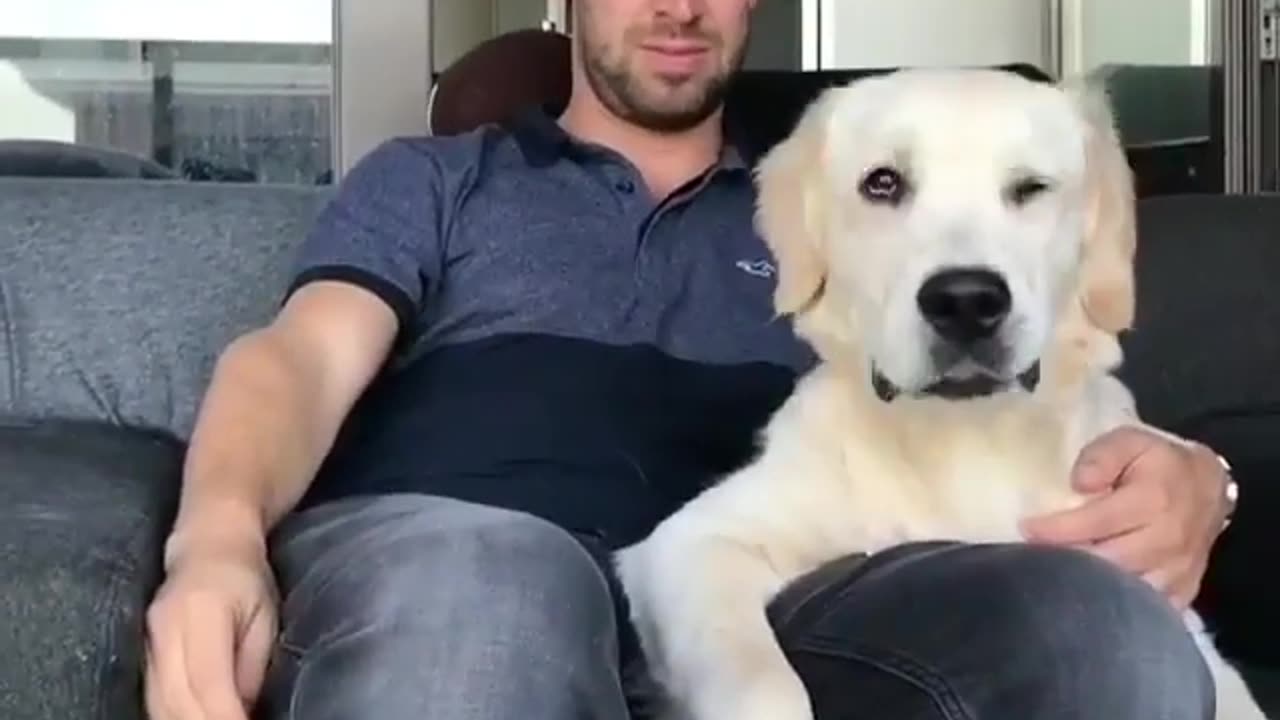 Cute Dog Reacts To Magic