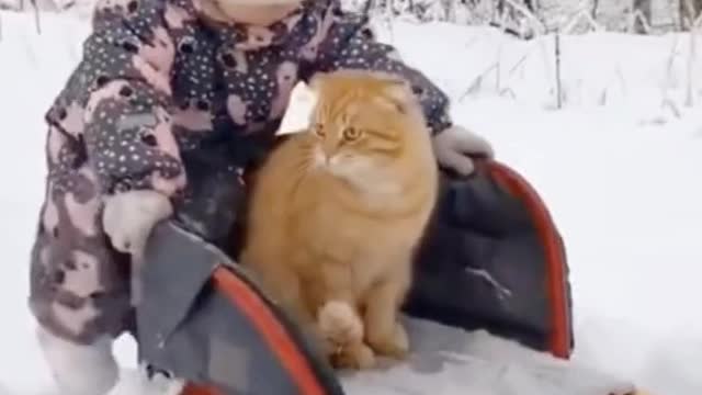 Wow, two cute baby😂😍