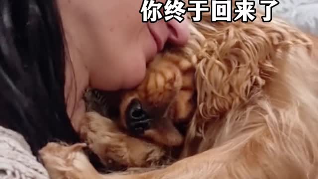 So warm picture