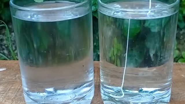 fevicol vs cool+normal water|Simpal science experiment